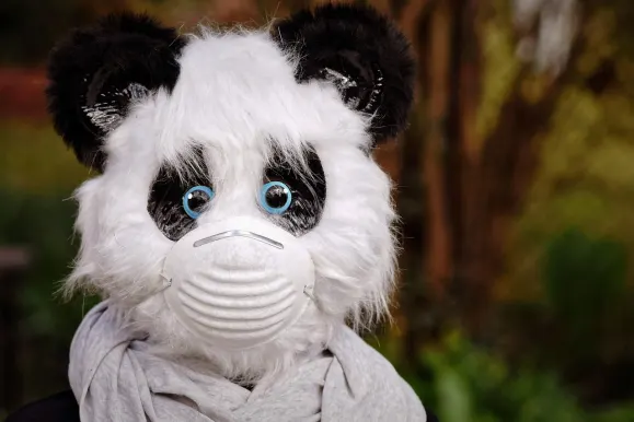 Bet9 Kaszinó Támogatás